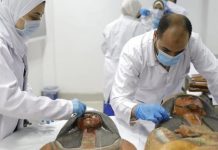 В Египте вскрыли «проклятые» саркофаги художника и его жены