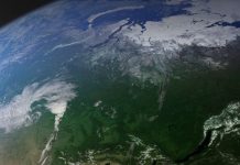 Незаконные вырубки русского леса начнут мониторить из космоса