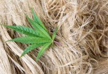 Конопляные батареи оказались в 8 раз эффективнее литий-ионных