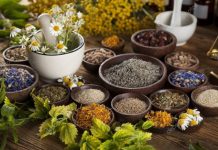 История магических трав славян с древнейших времен