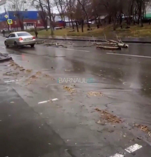 В Алтайском крае объявлено штормовое предупреждение из-за шквалистого ветра скоростью 100 кмч