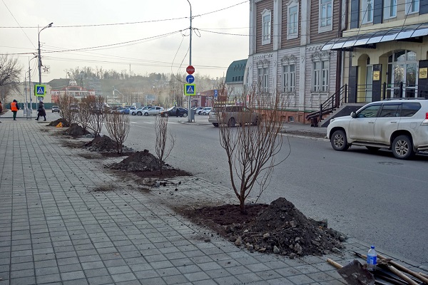 На Алтае занялись снежным озеленением накануне приезда Дмитрия Медведева